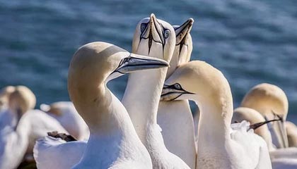 kaiyun官方网站-利物浦客场战胜伯恩利，积分稳固，利物浦vs伯恩利预测